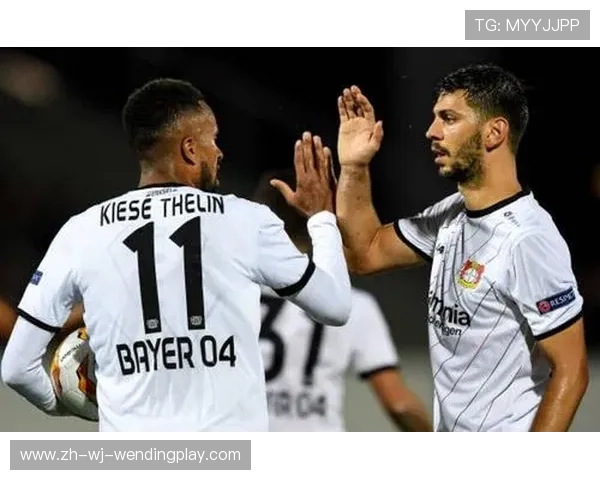 意甲球队经济结构与营收模式分析报告 意甲球队经济结构与营收模式分析报告