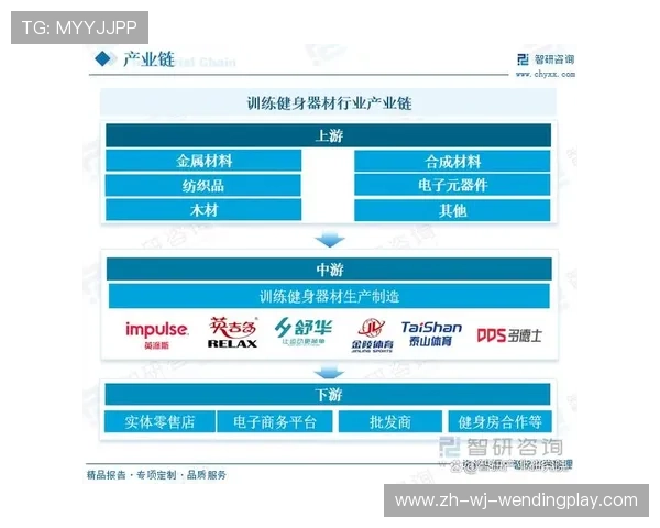 高端健身器材市场的未来发展方向 高端健身器材市场的未来发展方向