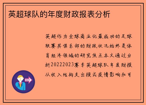英超球队的年度财政报表分析